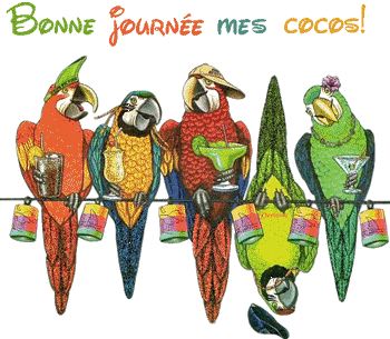 Gif animé bonne journée perroquet